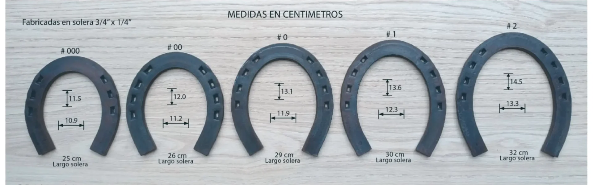 Medidas de herraduras en Cm. de Forja Equina